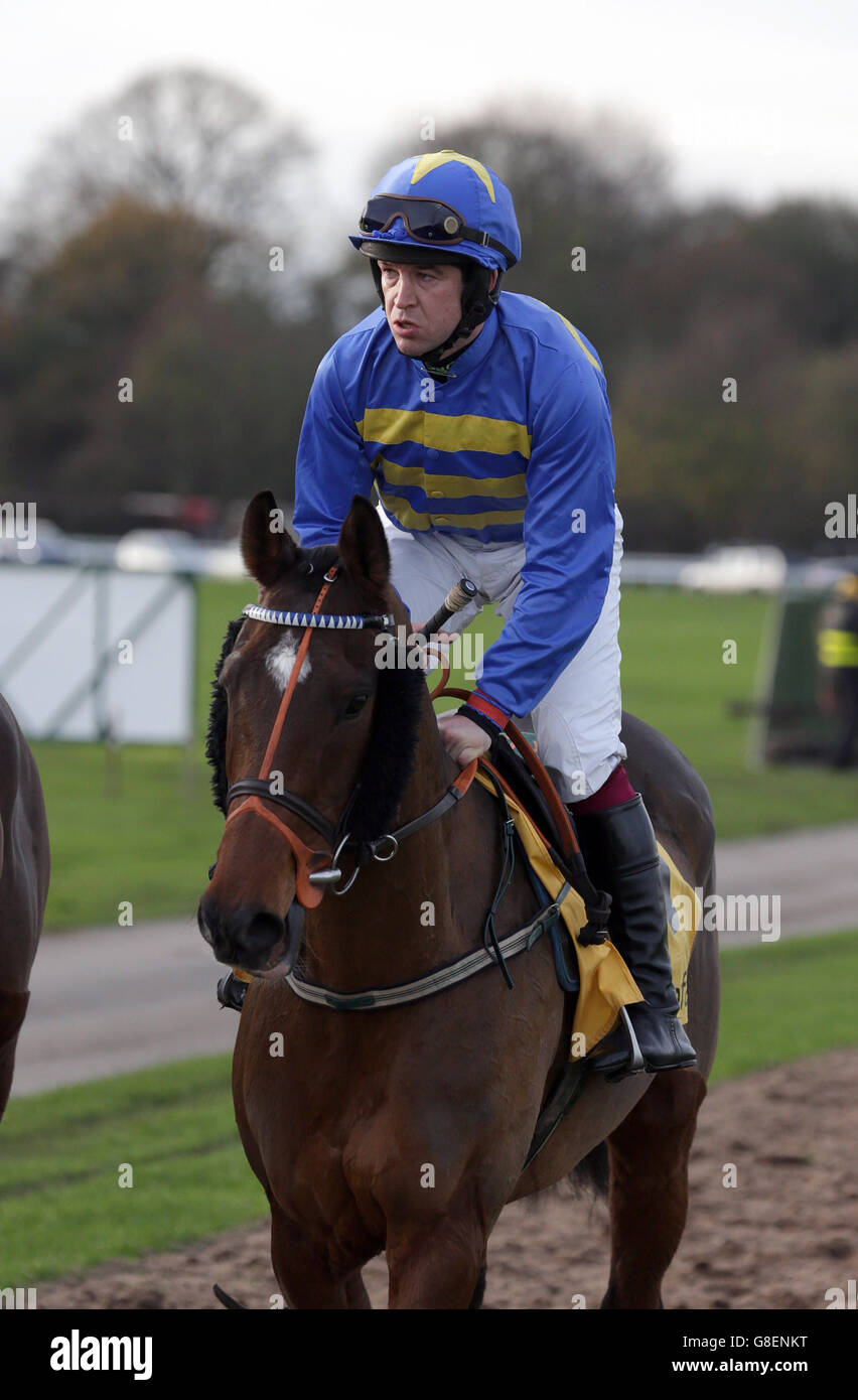 Vics Canvas ridden by Robert Dunne in the Betfair 'Tap Tap Boom' "Fixed
