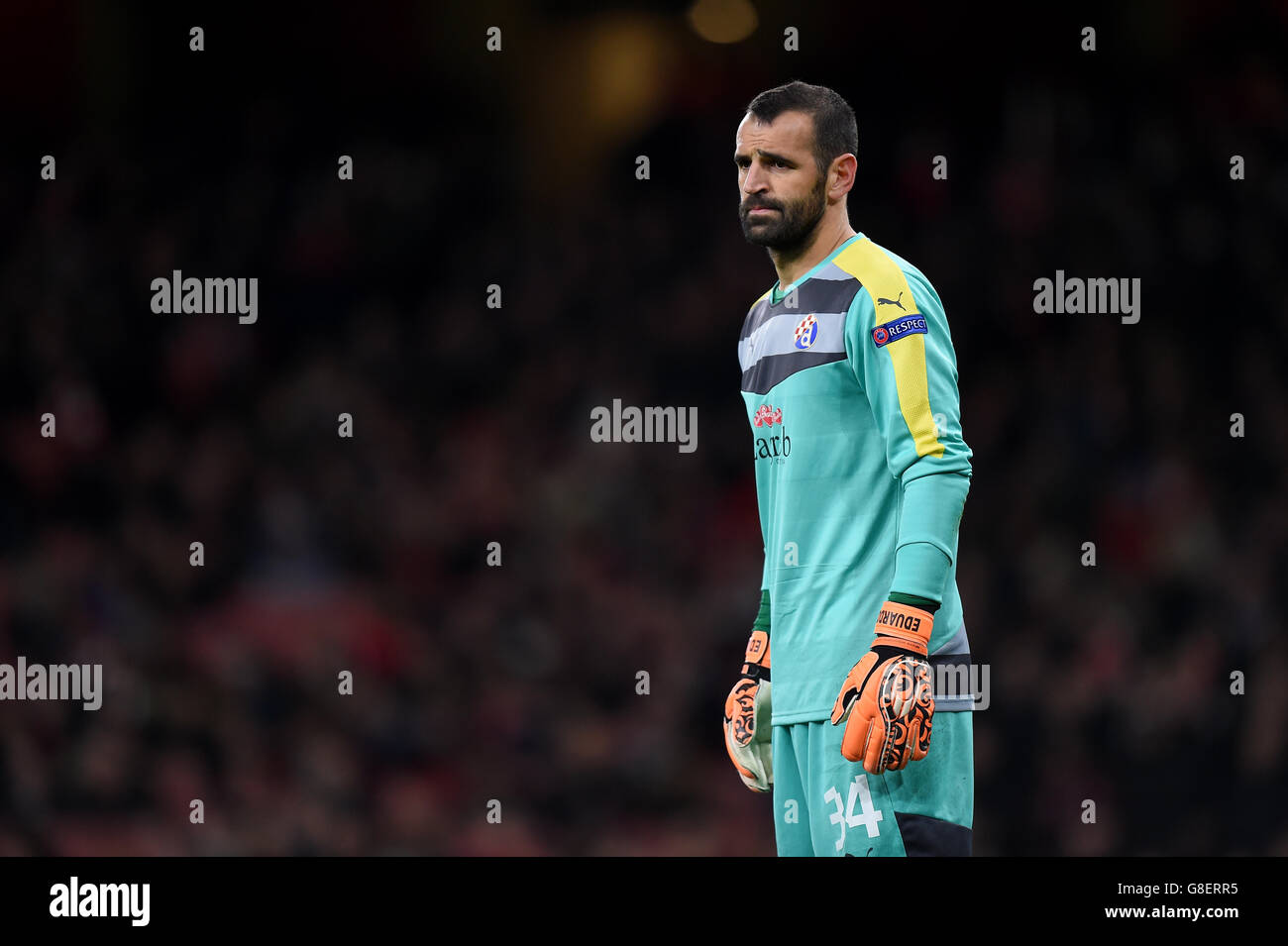 Dinamo Zagreb goalkeeper Eduardo during the UEFA Champions League, Group F match at The Emirates Stadium, London. PRESS ASSOCIATION Photo. Picture date: Tuesday November 24, 2015. See PA story SOCCER Arsenal. Photo credit should read: Andrew Matthews/PA Wire. Stock Photo