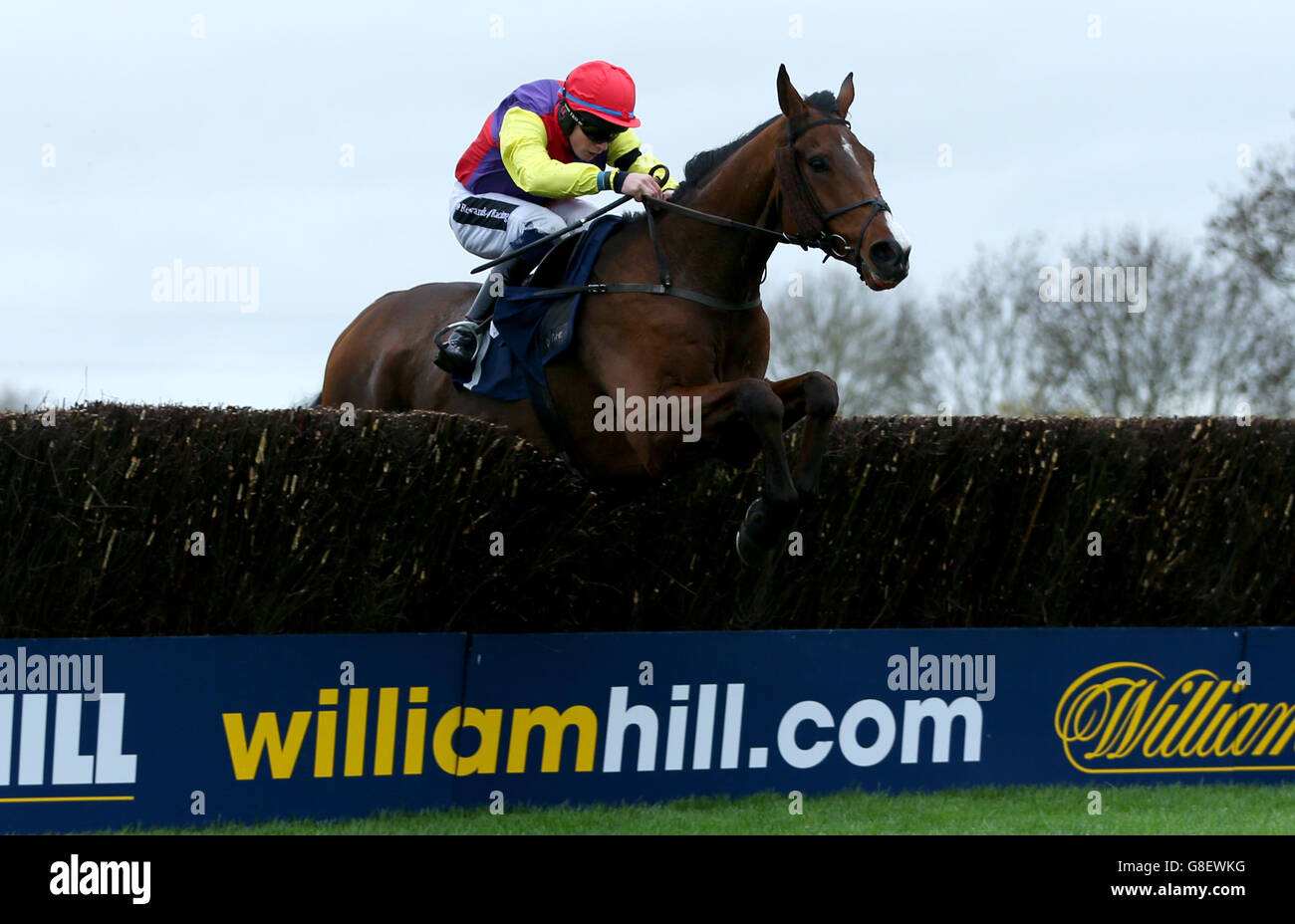 Spending Time ridden by Connor O'Farrell jumps the last to win The Molson Coors Novices Handicap Steeple Chase at Huntingdon Racecourse. Stock Photo