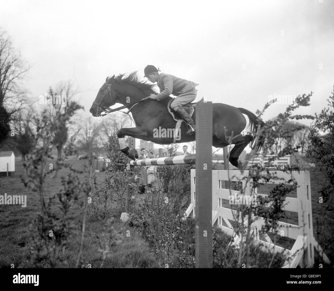 David Broome, 19, takes his mount, Wildfire III, over a stiff obstacle during training at Arundel, Sussex, for the Olympic Games to be held in Rome. David, from Chepstow, Monmouthshire, is one of seven riders invited by the British Show Jumping Association to train for the Olympics. Stock Photo