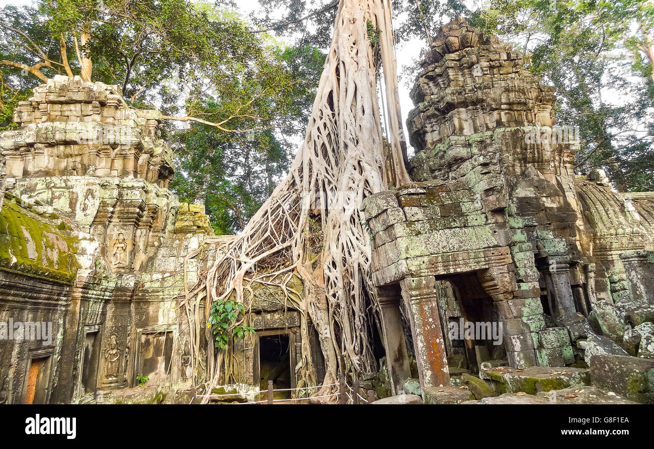 Regrowing Temples Overgrown temple hi-res stock photography and images - Alamy