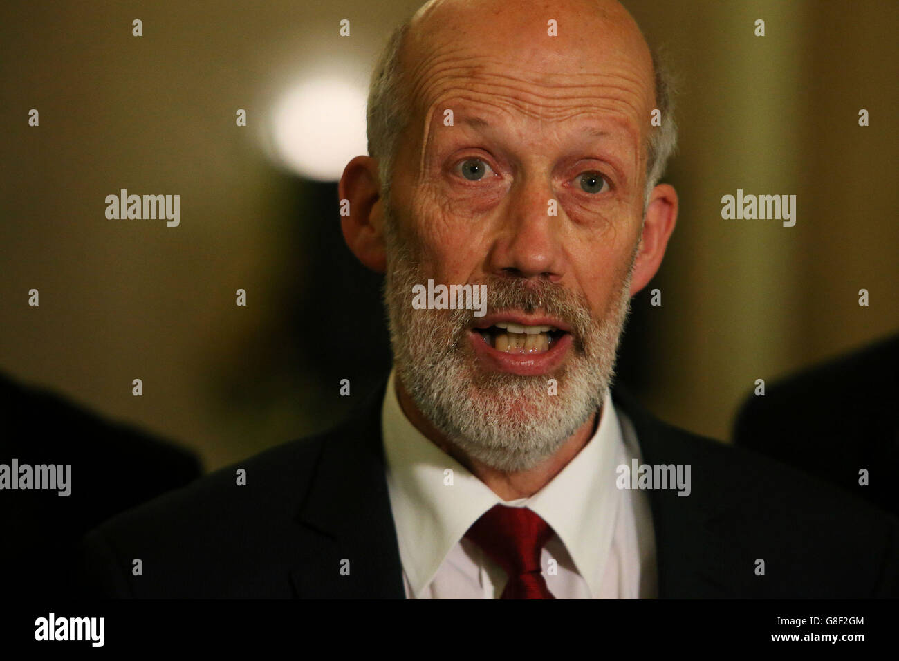 Leader of the Alliance Party David Ford speaks to the media at Parliament Buildings at Stormont in Belfast, after a deal to salvage Northern Ireland's crisis-hit power-sharing administration was announced. Stock Photo