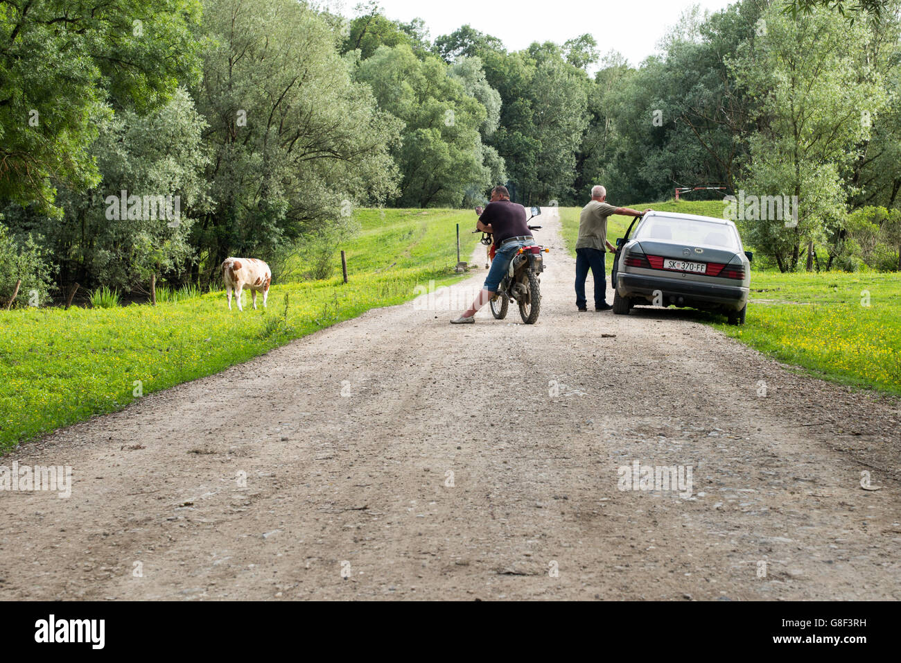 Country road in Lonjsko Polje nature park, Croatia Stock Photo