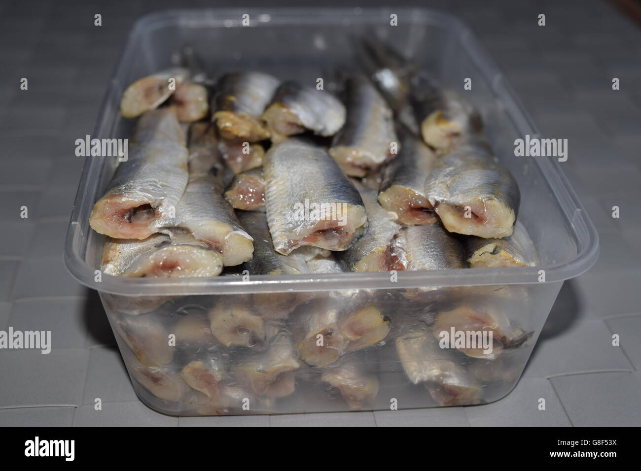 Headless Sprats in a Clear Plastic Box Stock Photo
