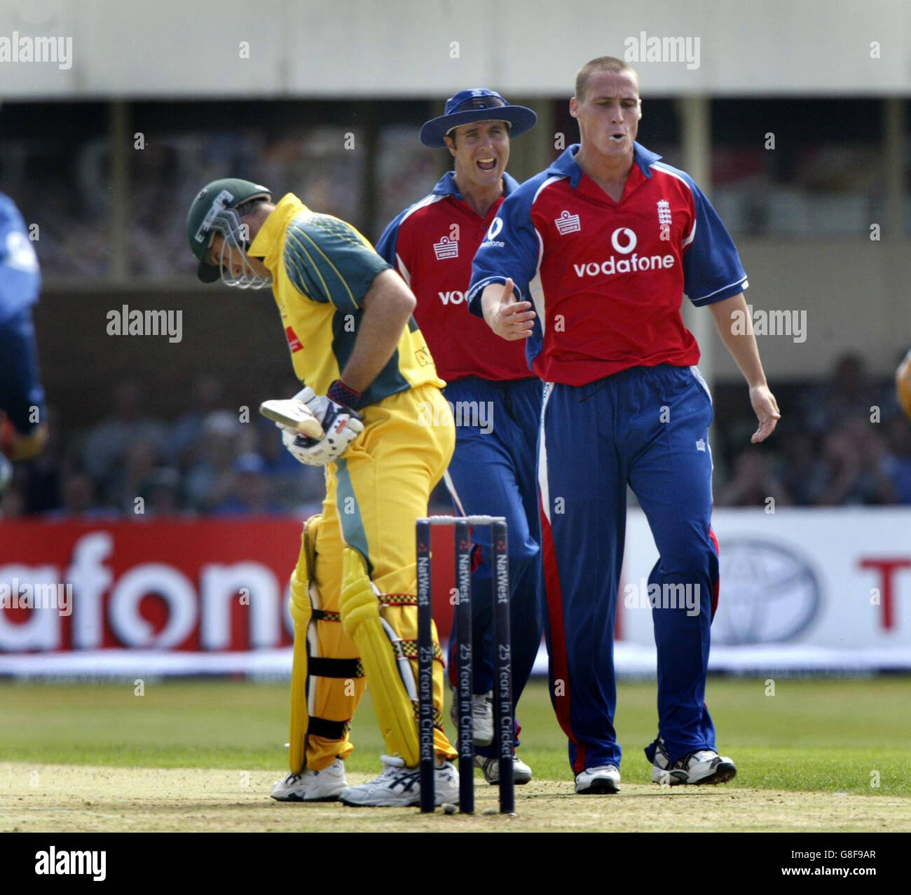 England's Simon Jones (R) celebrates with captain Michael Vaughan (C) after trapping Australian batsman Matthew Hayden LBW. Stock Photo