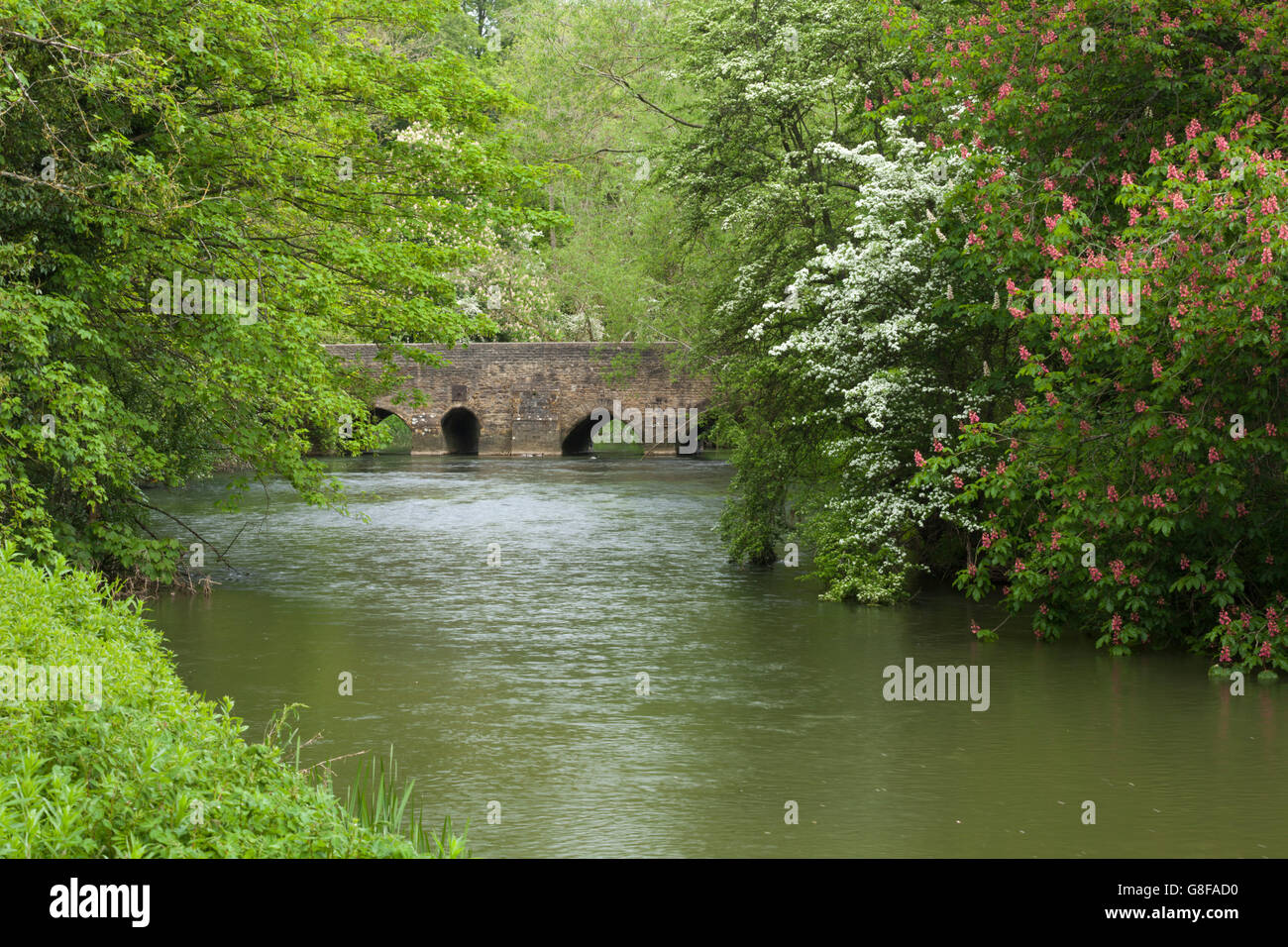 The medieval stone bridge over the River Cherwell marking the boundary of the grounds of  Rousham House in Oxfordshire, England Stock Photo