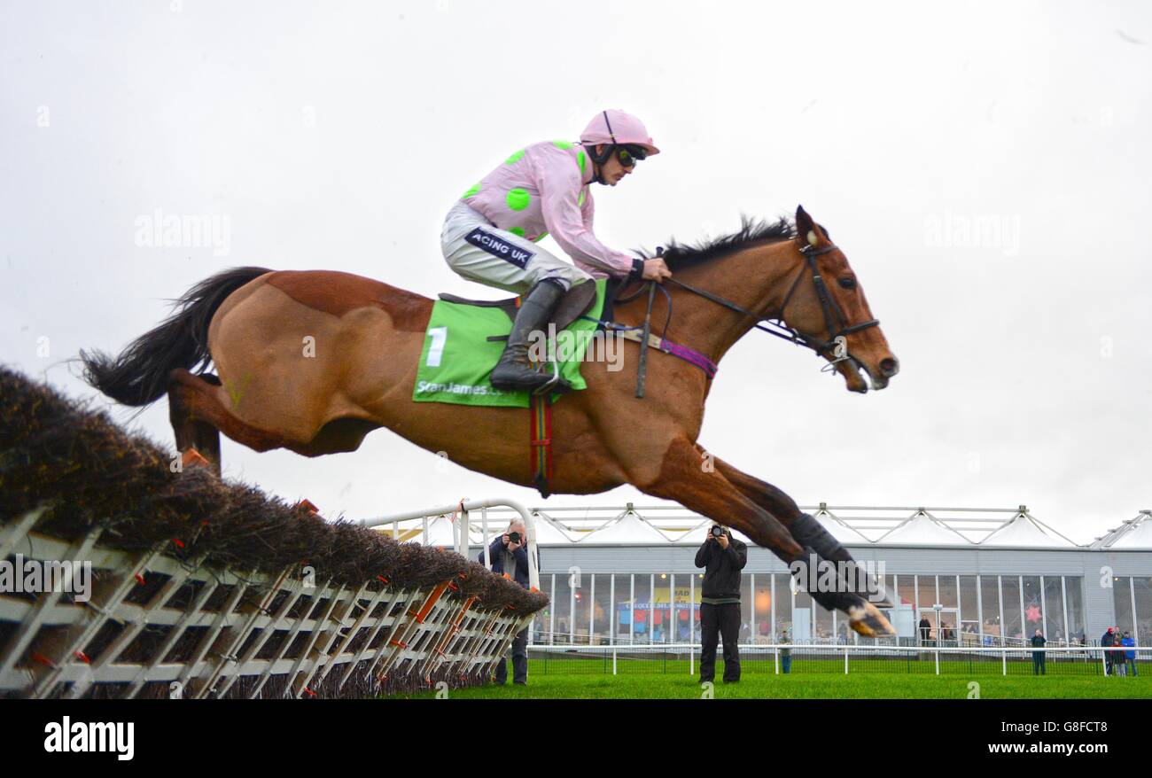 Winter Festival Day Two Punchestown Racecourse Stock Photo Alamy