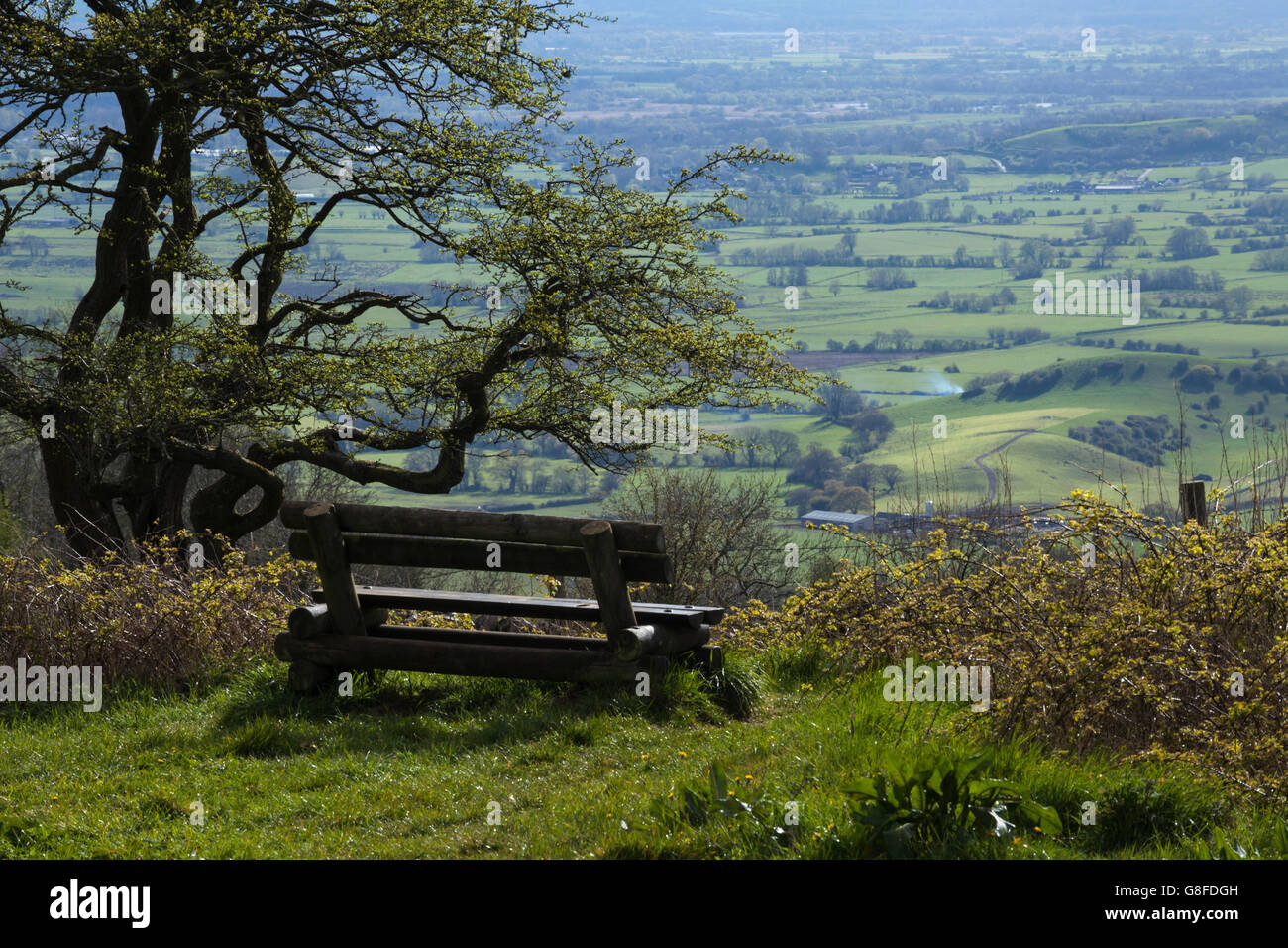Wooden bench with views of the rolling Somerset countryside on the edge of the Mendip Hills near Ebbor Gorge and the village of Wookey Hole, England. Stock Photo