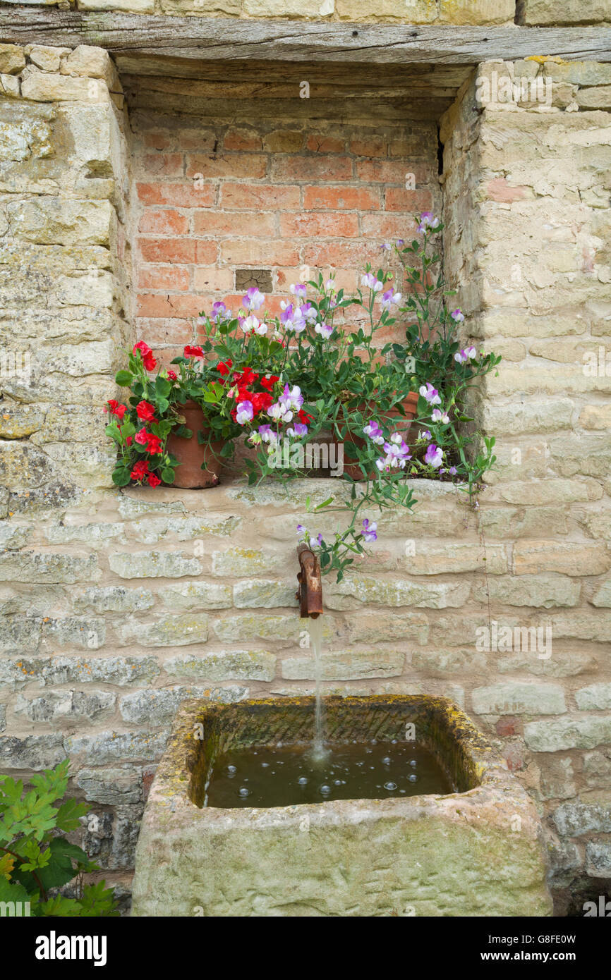 Flowerpots containing sweet peas beside a water feature within the cottage garden of Easton Walled Garden, Lincolnshire, England Stock Photo