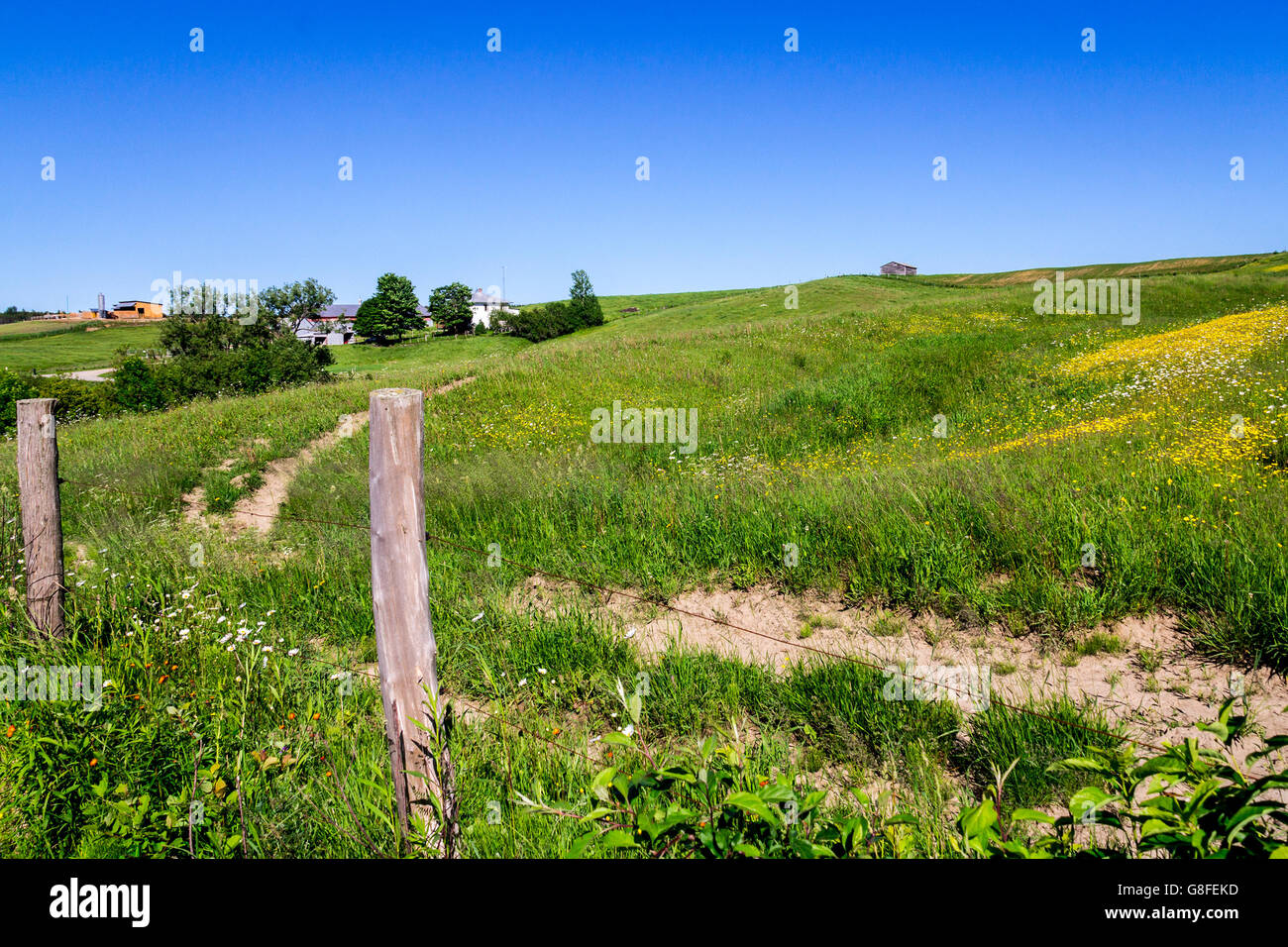 grass field landscape blue sky quebec canada Stock Photo