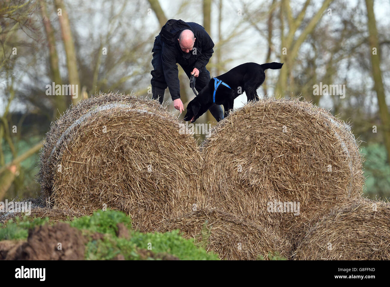 Police search a field off Ashby Road in Belton, Leicestershire, for