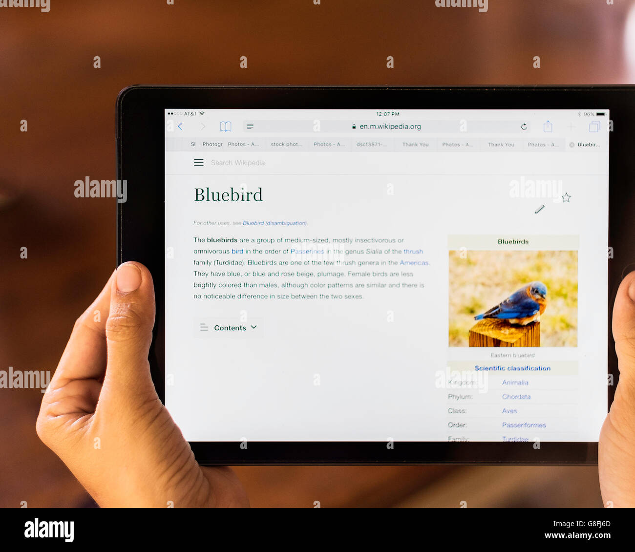 Wikipedia tablet hi-res stock photography and images - Alamy