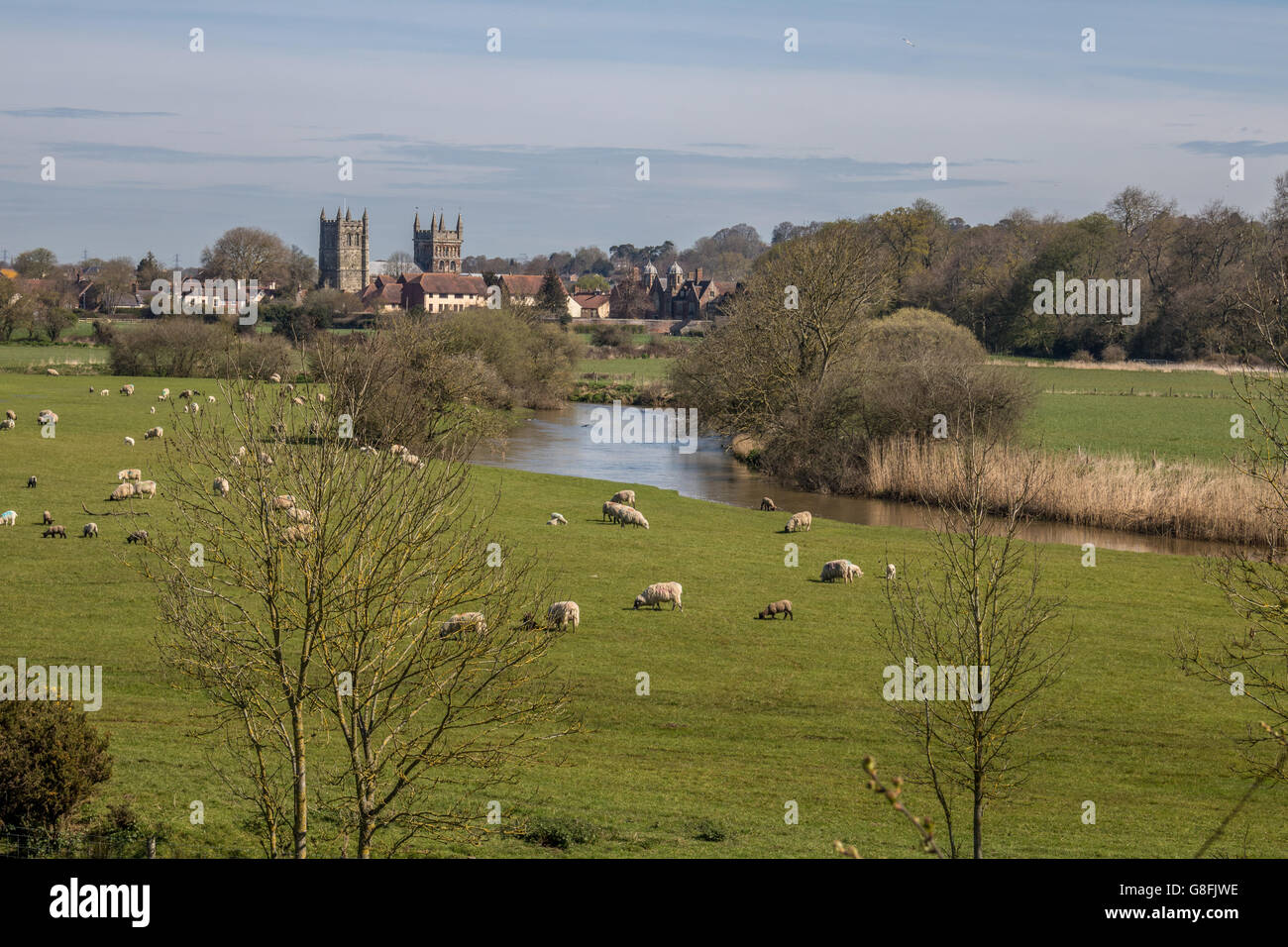 England Dorset Wimborne Wimborne Minster and the River Stour Adrian