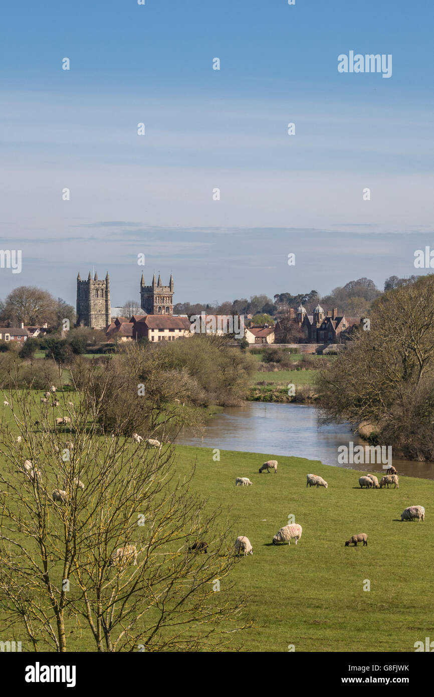 England Dorset Wimborne Wimborne Minster and the River Stour Adrian