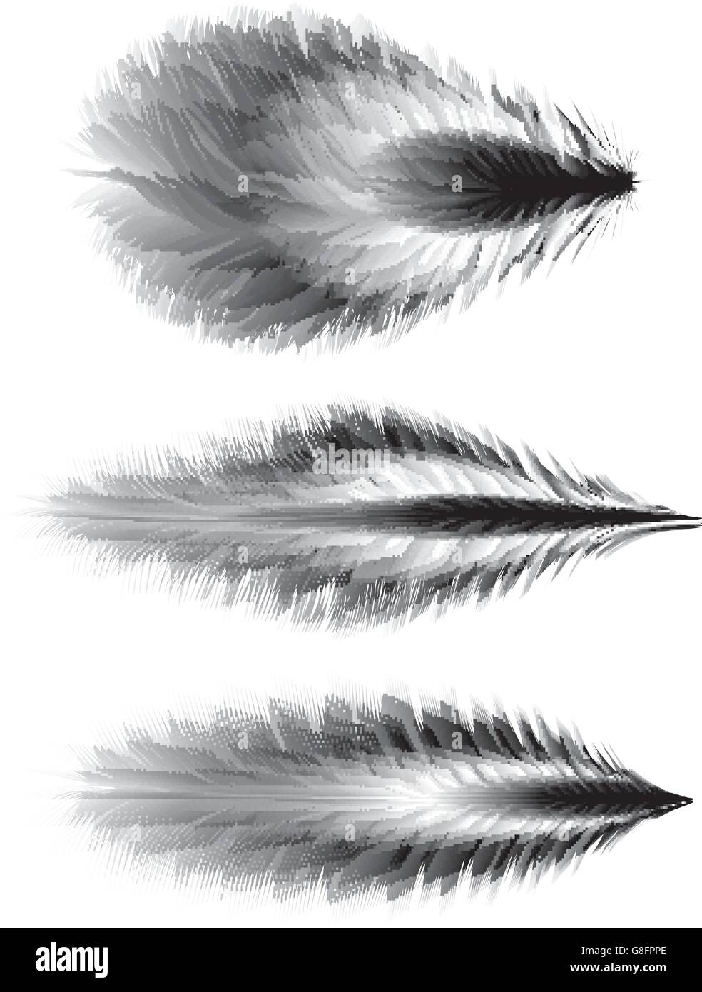 Set of feathers. Vector Stock Vector Image & Art - Alamy