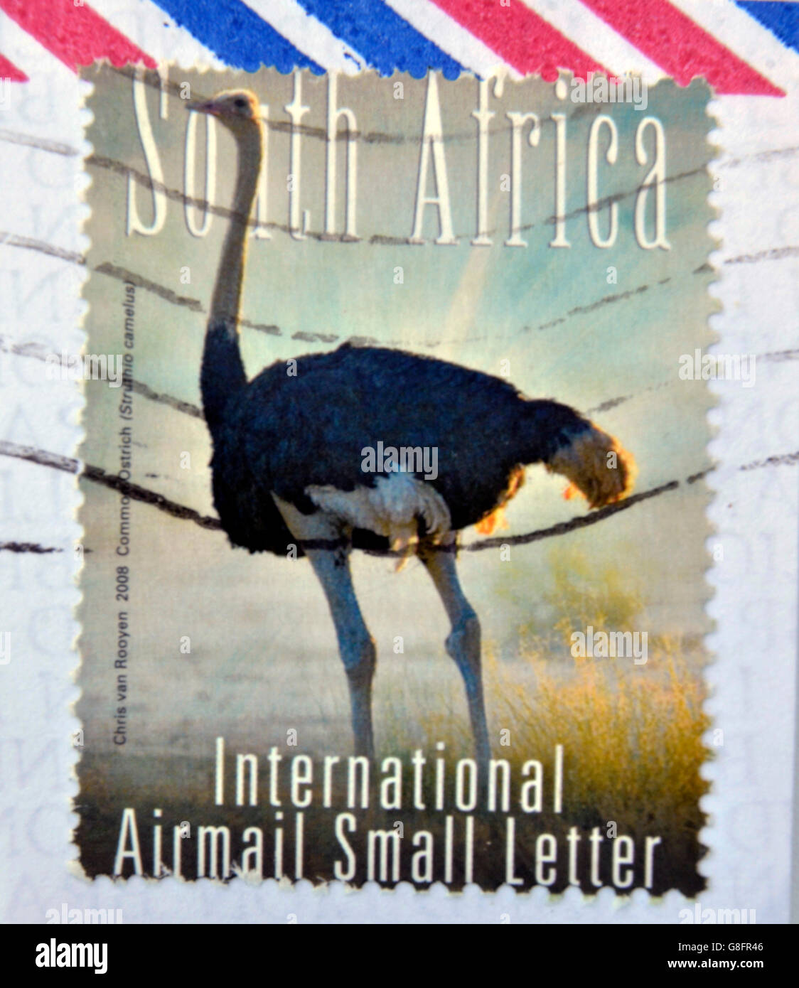 SOUTH AFRICA - CIRCA 2000: A stamp printed in RSA shows an ostrich, circa 2000 Stock Photo