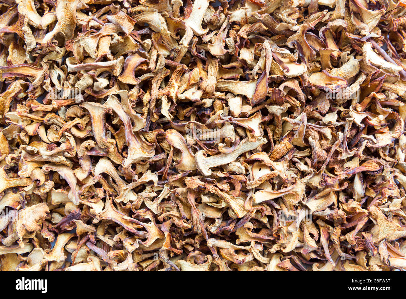 Dried chanterelle mushrooms. Handpicked from the forest, sliced and