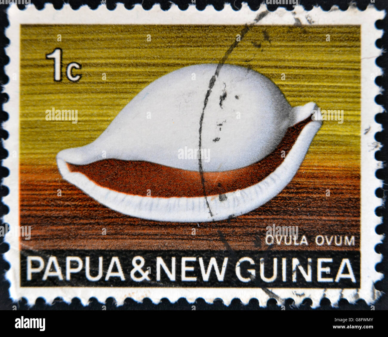 PAPUA NEW GUINEA - CIRCA 1969:  A stamp printed in Papua New Guinea shows shell ovula ovum, circa 1969 Stock Photo
