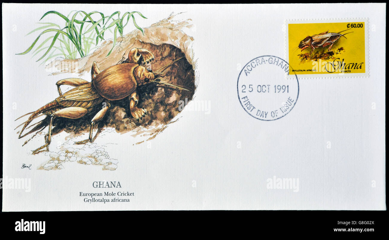 GHANA - CIRCA 1991: A postcard printed in Ghana shows european mole cricket,  gryllotalpa africana, circa 1991 Stock Photo