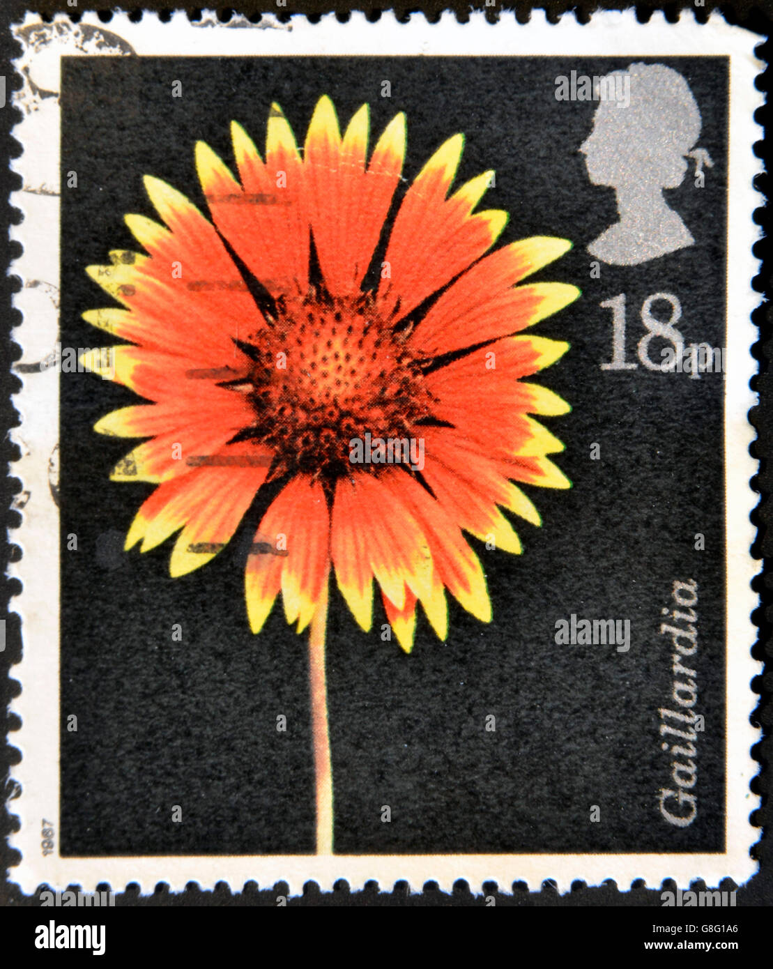 UNITED KINGDOM - CIRCA 1987: A stamp printed in Great Britain shows a Gaillardia, circa 1987 Stock Photo