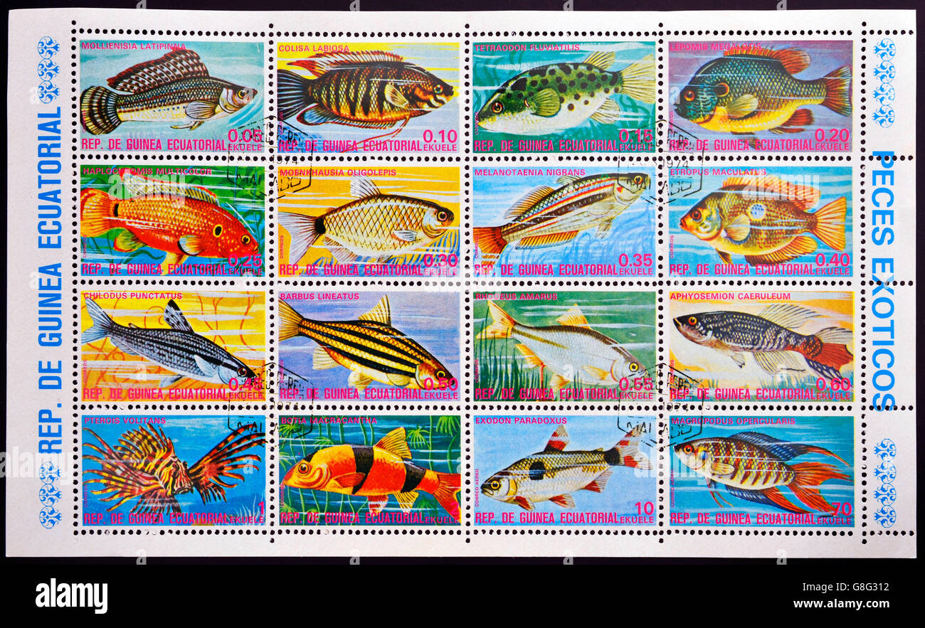 EQUATORIAL GUINEA - CIRCA 1974: A set stamps printed in Guinea Ecuatorial shows exotic fish, circa 1974. Stock Photo