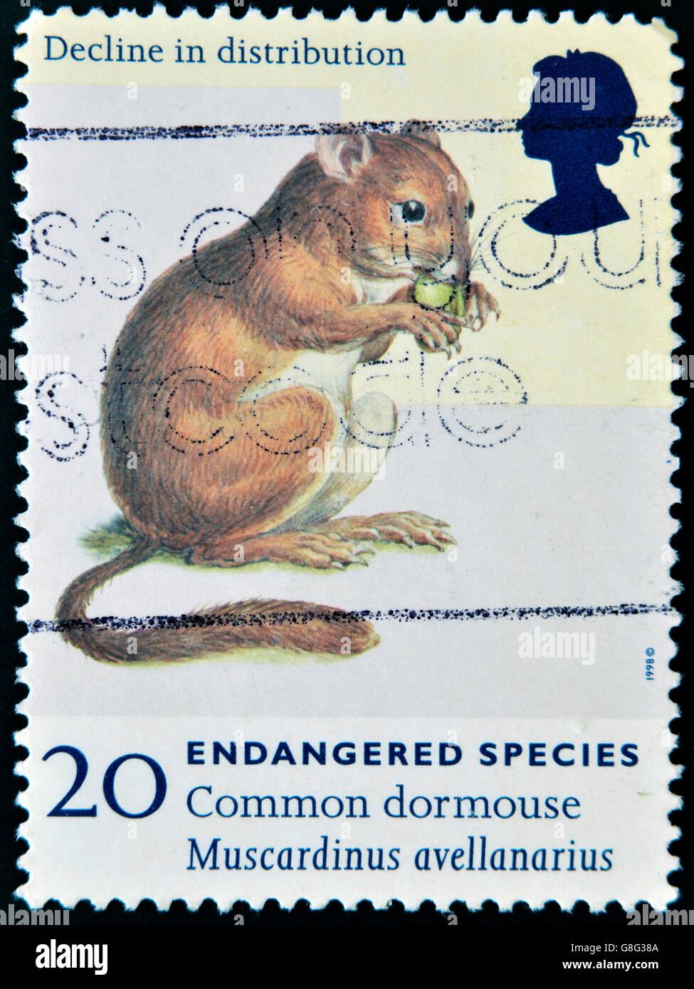 UNITED KINGDOM - CIRCA 1998: A stamp printed in Great Britain shows Common dormouse, Muscardinus avellanarius, circa 1998 Stock Photo