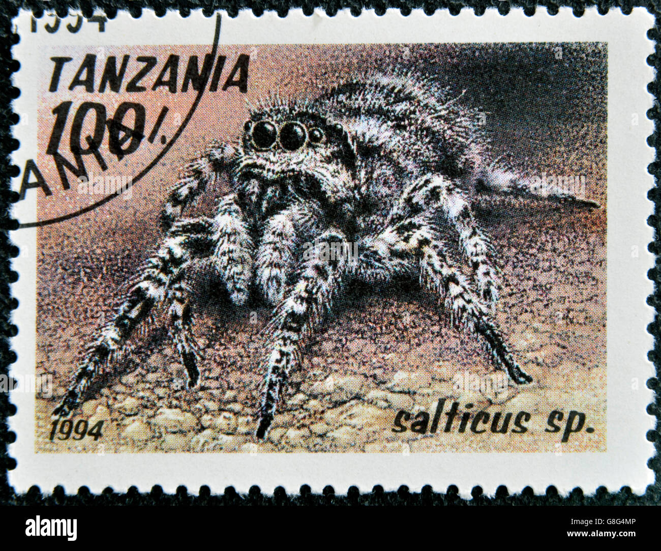 TANZANIA - CIRCA 1994: A stamp printed in Tanzania shows image of a salticus sp., circa 1994 Stock Photo