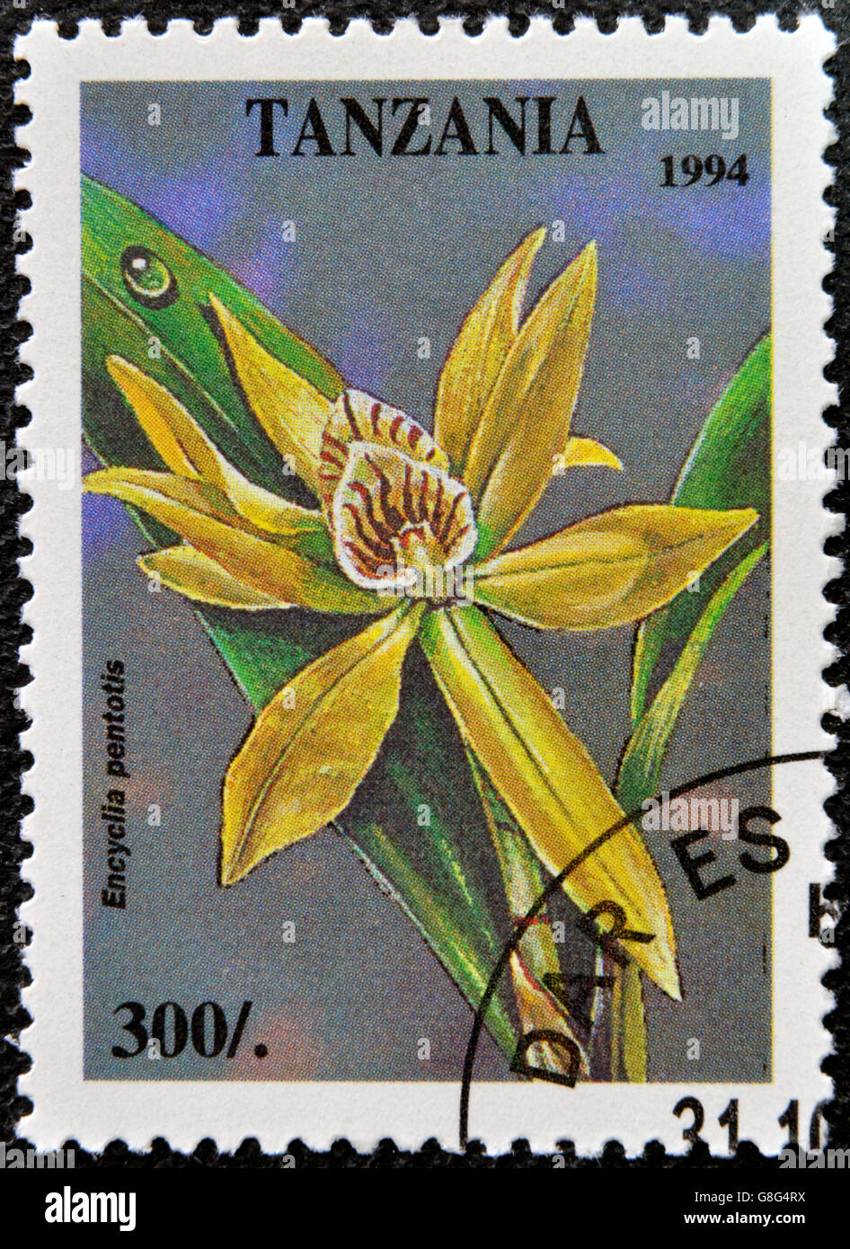 TANZANIA - CIRCA 1994: A stamp printed in Tanzania dedicated to tropical flowers, shows encyclia pentotis, circa 1994 Stock Photo