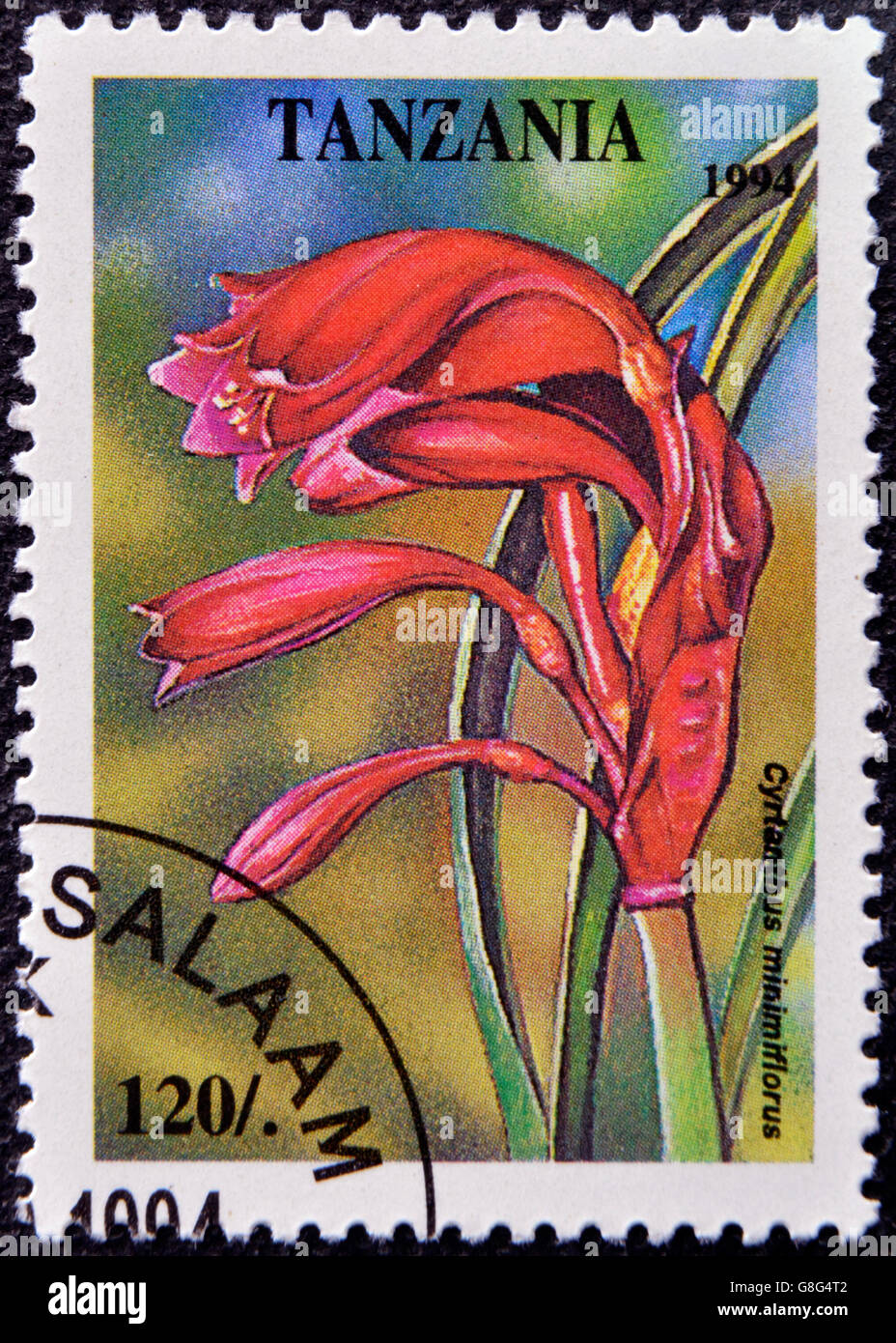 TANZANIA - CIRCA 1994: A stamp printed in Tanzania dedicated to tropical flowers, shows cyrtanthus minimiflorus, circa 1994 Stock Photo