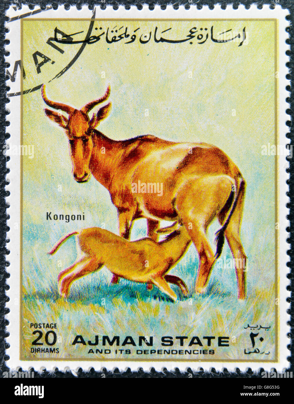 MANAMA AJMAN - CIRCA 1967: a stamp printed in Ajman shows Kongoni, circa 1967 Stock Photo
