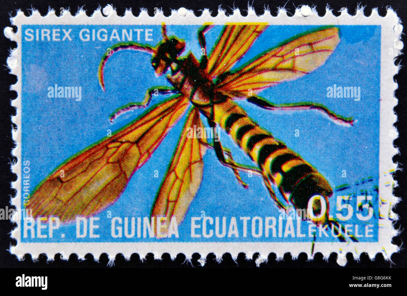 EQUATORIAL GUINEA - CIRCA 1973:  stamp printed in Guinea dedicated to insects shows giant sirex, circa 1973 Stock Photo