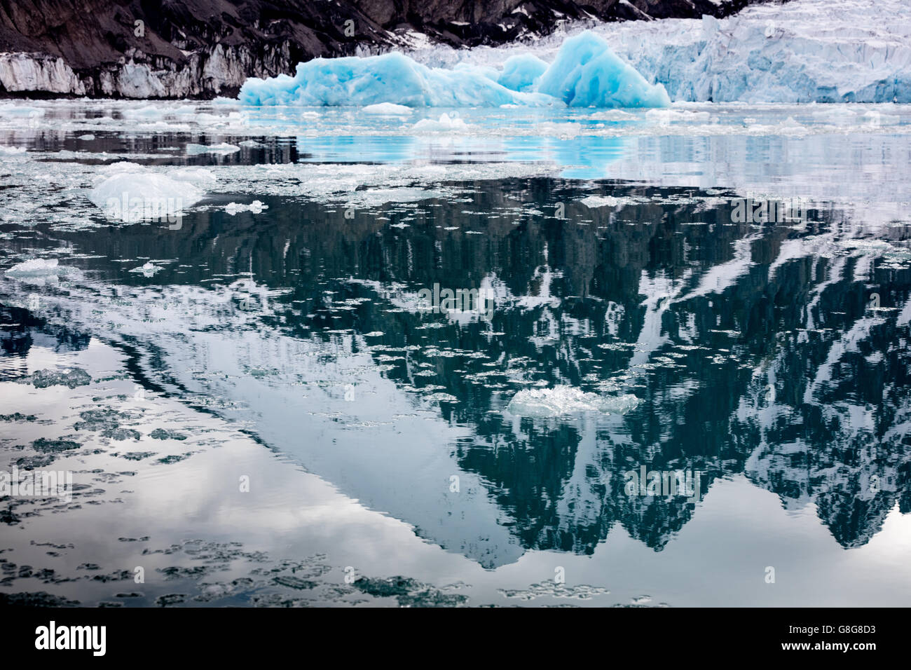 Icebergs and reflected mountains in Liefdefjord, Svalbard Archipelago, Norway. These icebergs are shed from the Monaco glacier. Stock Photo