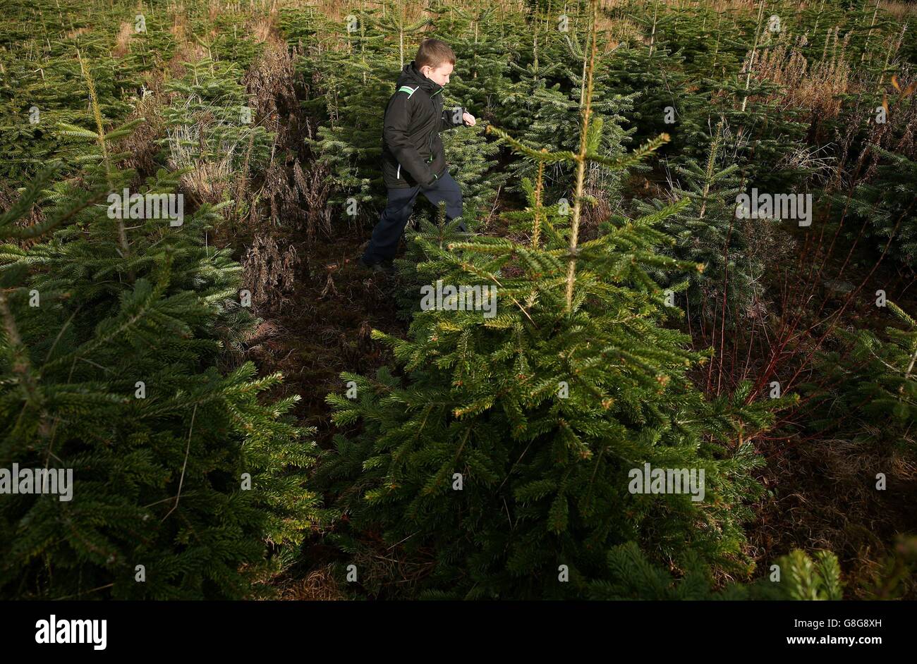 A pupil from Kilcoskan National school walks amongst the trees on the