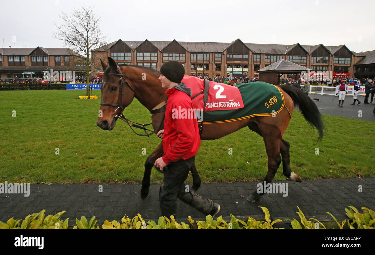 Seabass in the parade ring before The 3 For 2 Festival Tickets Handicap