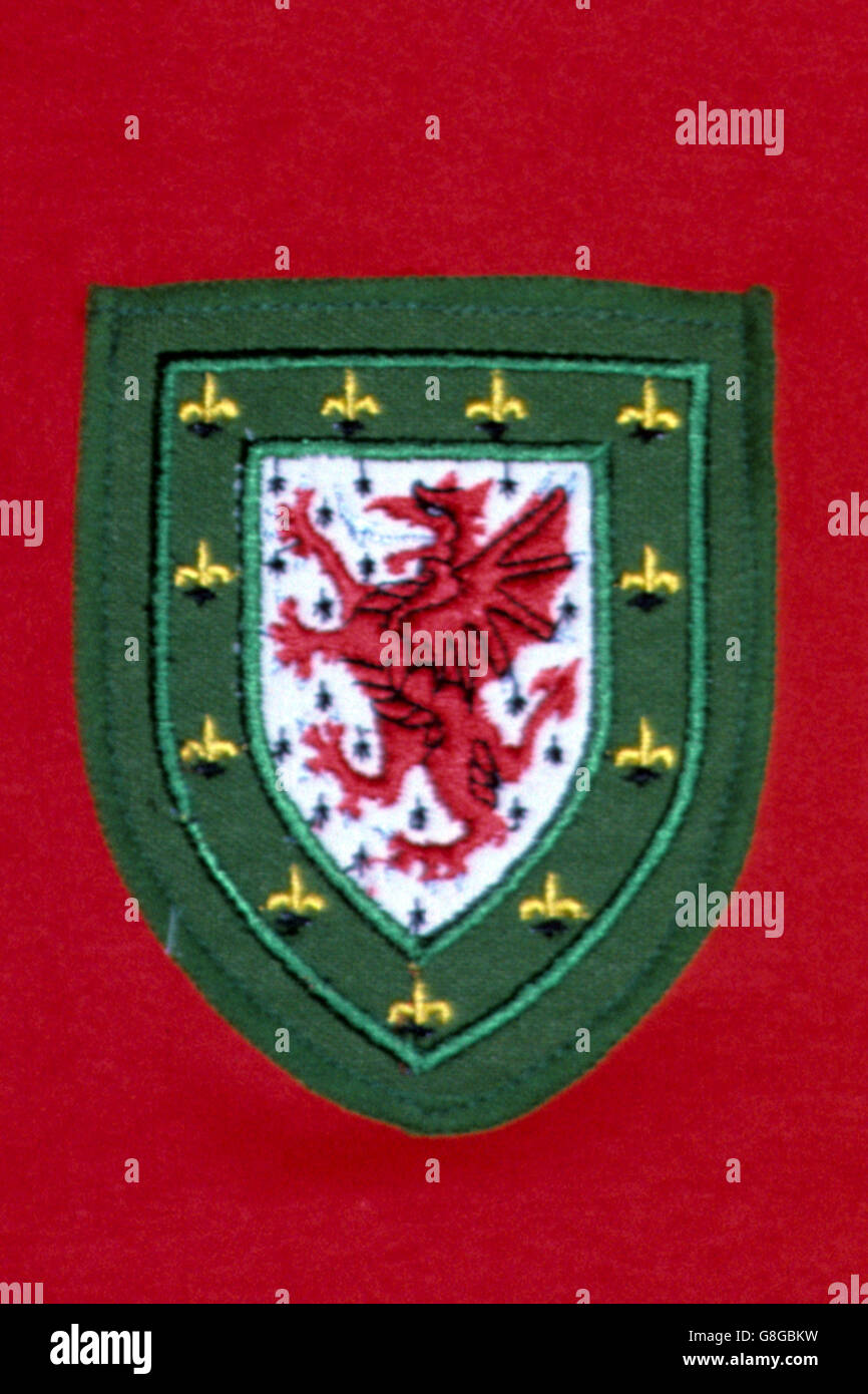 Close up of Cardiff City FC badge Stock Photo - Alamy