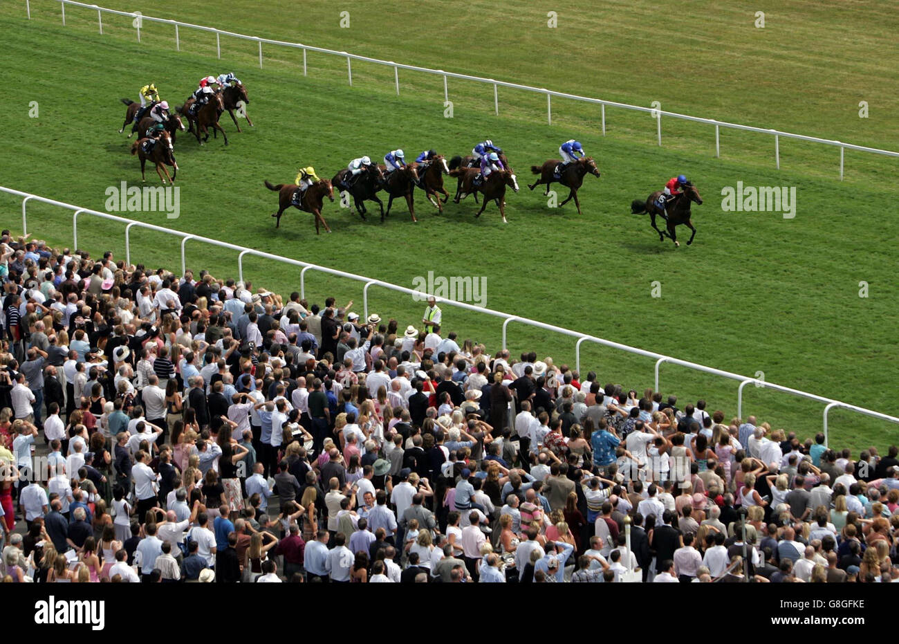 Regal Royale ridden by Mick Kinane leads the field to win the European Breeders Fund Crocker Bulteel Maiden Stakes. Stock Photo