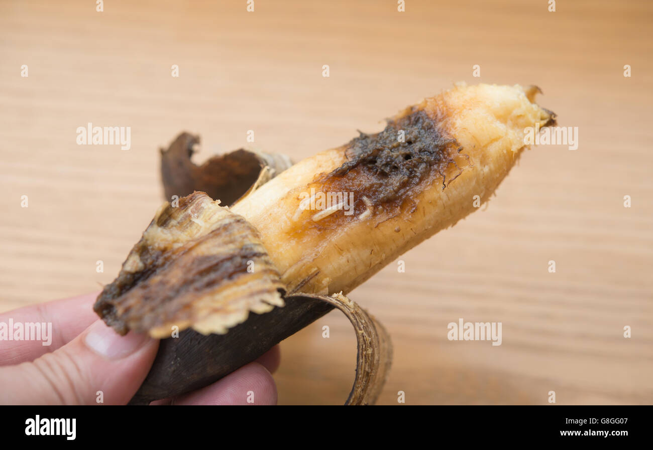 hand holding an overripe banana with worms on a wooden background Stock Photo