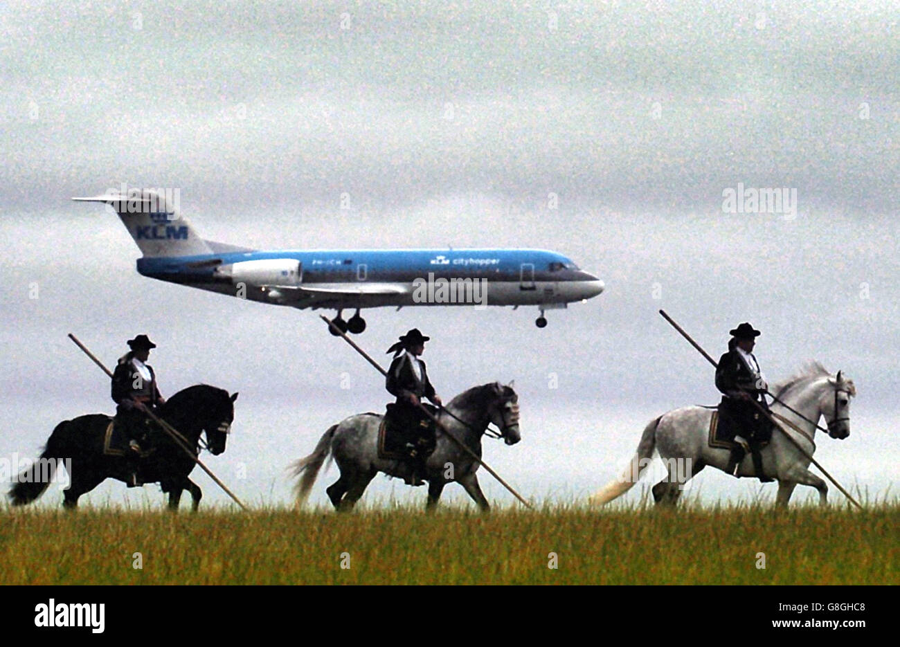 Spanish Andalusian horses ride out near Edinburgh airport, ahead of the start of their show