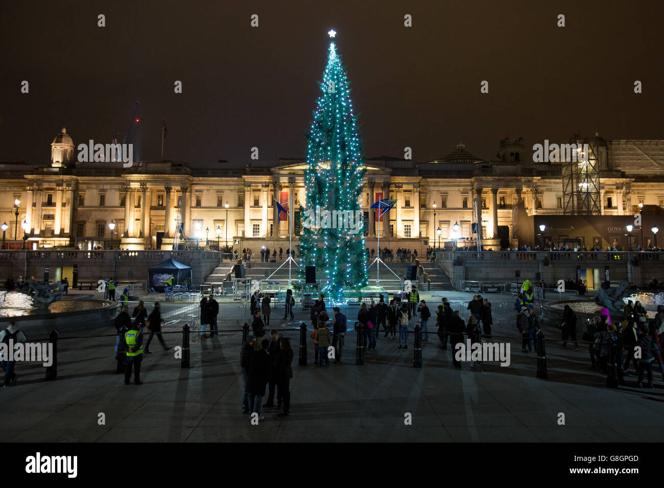 Trafalgar Square Christmas tree Stock Photo Alamy