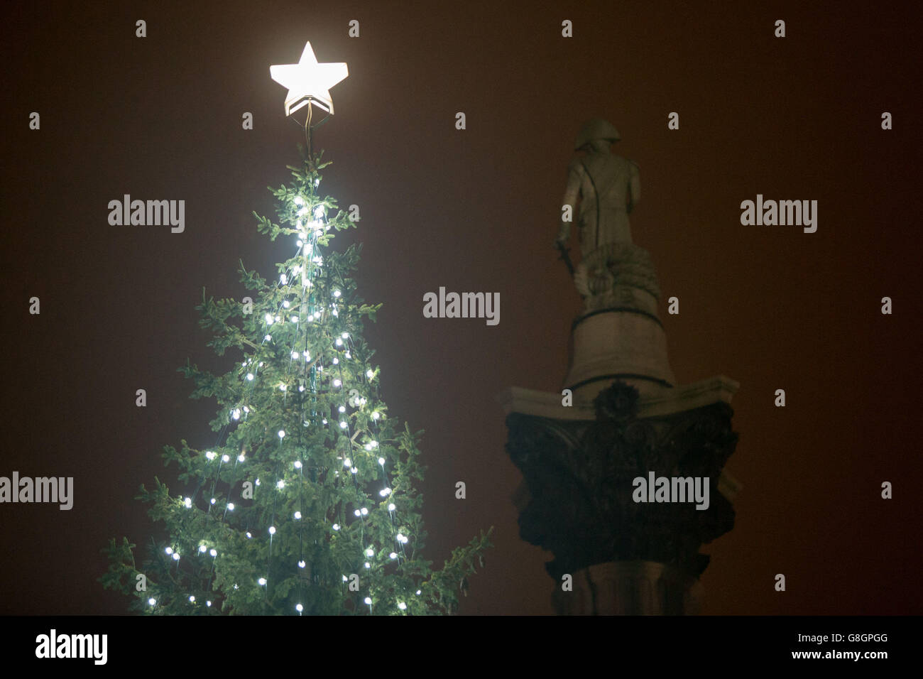 The lights on the Trafalgar Square Christmas tree are switched on
