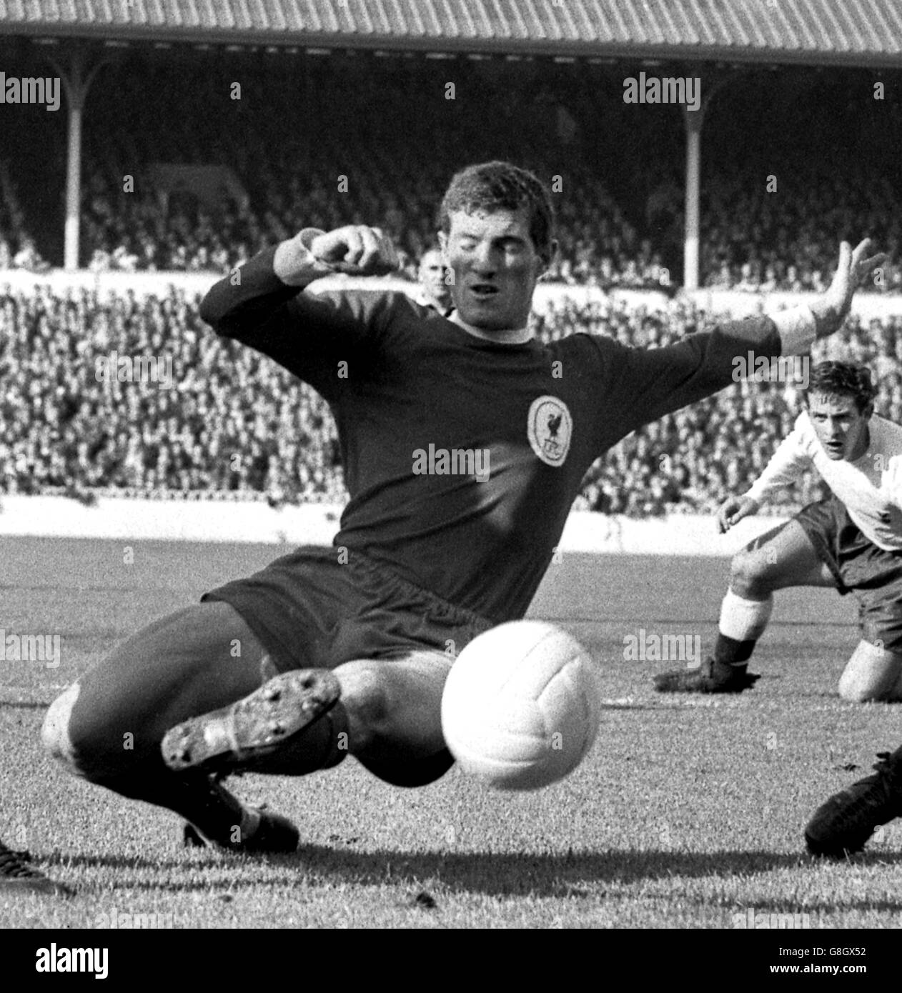 Liverpool's Willie Stevenson, regarded as one of the leading half-backs in Britain. Stock Photo