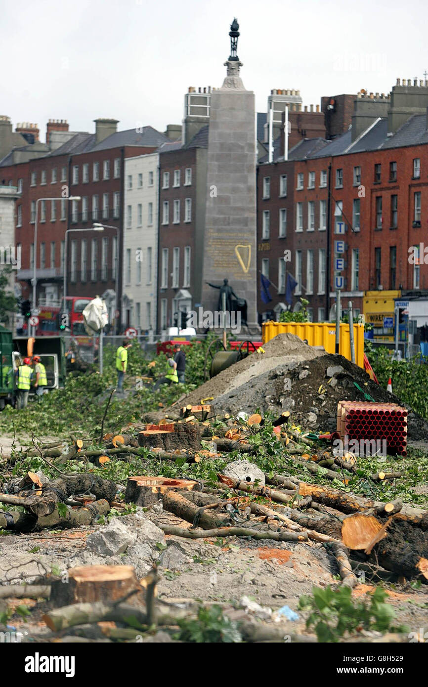A tree surgeon prepares one of the last 10 mature trees for removal, paving the way for a spectacular thoroughfare similar to capital cities throughout Europe. The 100-year-old London Plane Trees were cut down as part of a massive regeneration plan for the main street of the capital despite objections from environmentalists. Stock Photo