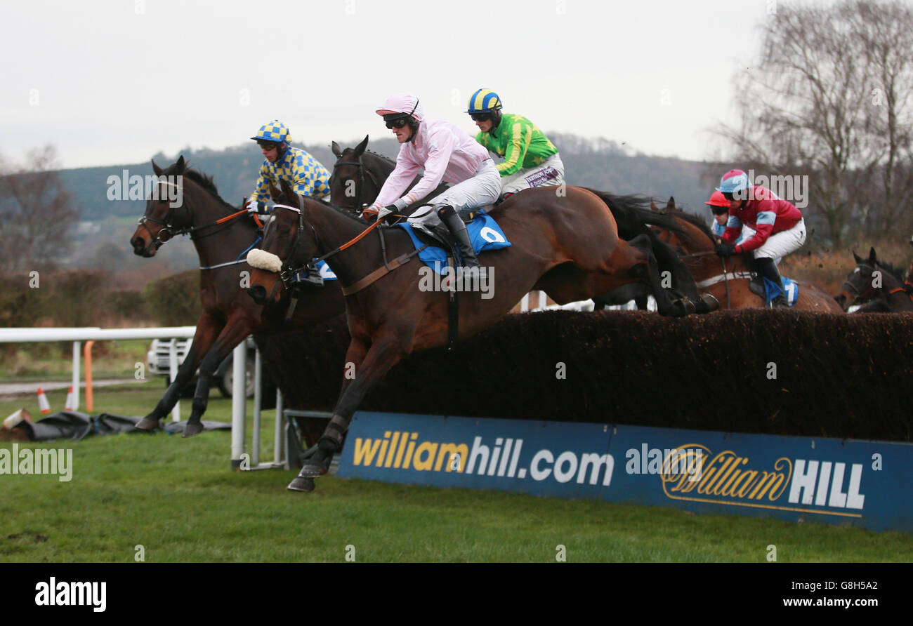Carhue ridden by Martin McIntyre at Ludlow Racecourse. Stock Photo