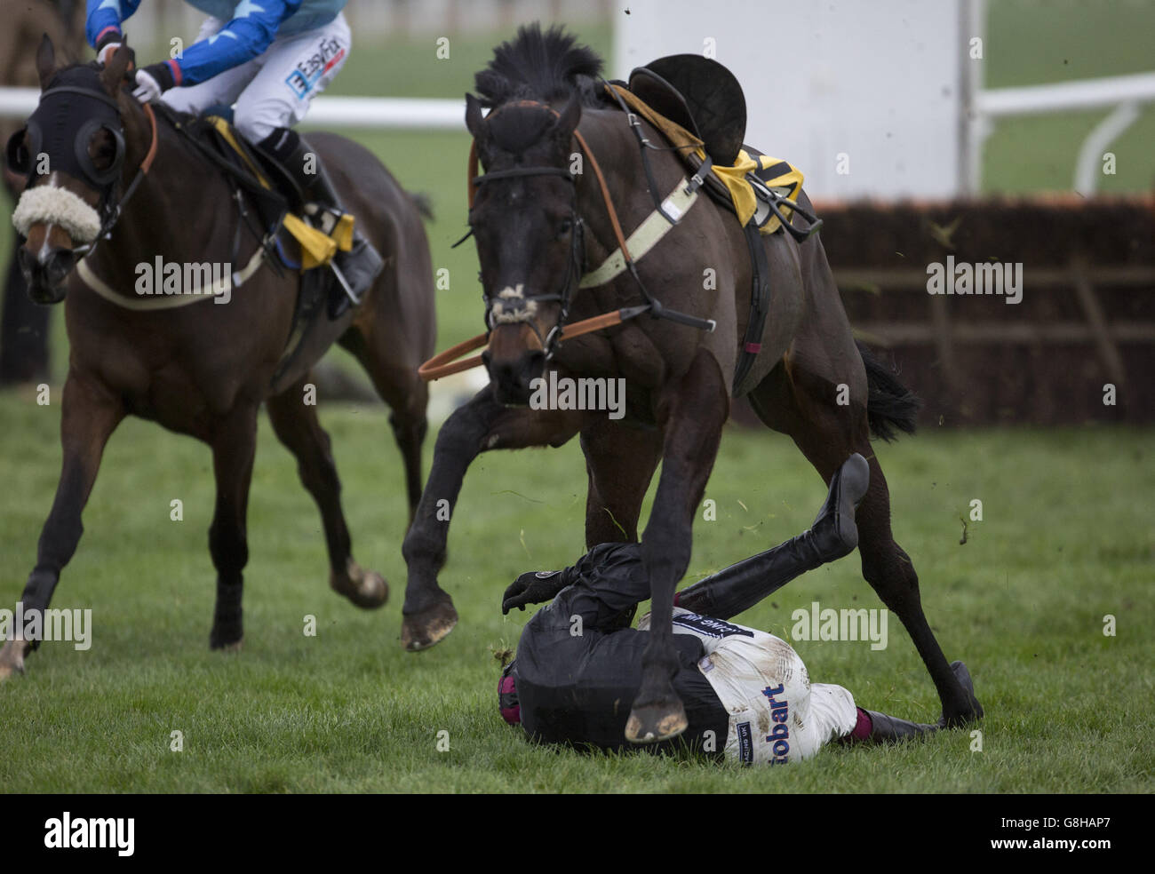 Aidan Coleman takes a kicking from Leoncavallo after becoming unseated at the last hurdle during The JCB Triumph Hurdle Trial Race run during day two of The International at Cheltenham Racecourse. Stock Photo