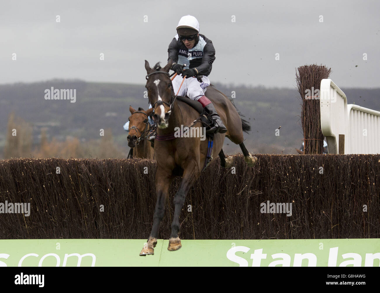 Village Vic ridden by Richard Johnson clears the last fence before going on to win The Caspian Caviar Gold Cup Race run during day two of The International at Cheltenham Racecourse. Stock Photo