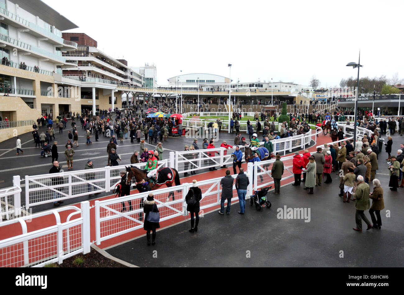 Cheltenham Races - The International - Day One. Racegoers check out horses in the parade ring Stock Photo