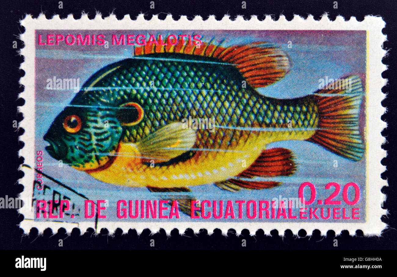 EQUATORIAL GUINEA - CIRCA 1974: A stamp printed in Guinea Ecuatorial dedicated to exotic fish shows lepomis megalotis, circa 197 Stock Photo