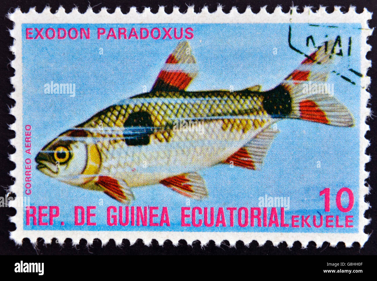 EQUATORIAL GUINEA - CIRCA 1974: A stamp printed in Guinea Ecuatorial dedicated to exotic fish shows exodon paradoxus, circa 1974 Stock Photo