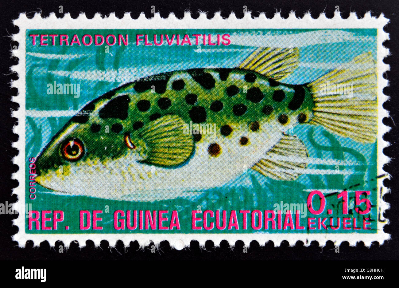 EQUATORIAL GUINEA - CIRCA 1974: A stamp printed in Guinea Ecuatorial dedicated to exotic fish shows tetraodon fluviatilis, circa Stock Photo