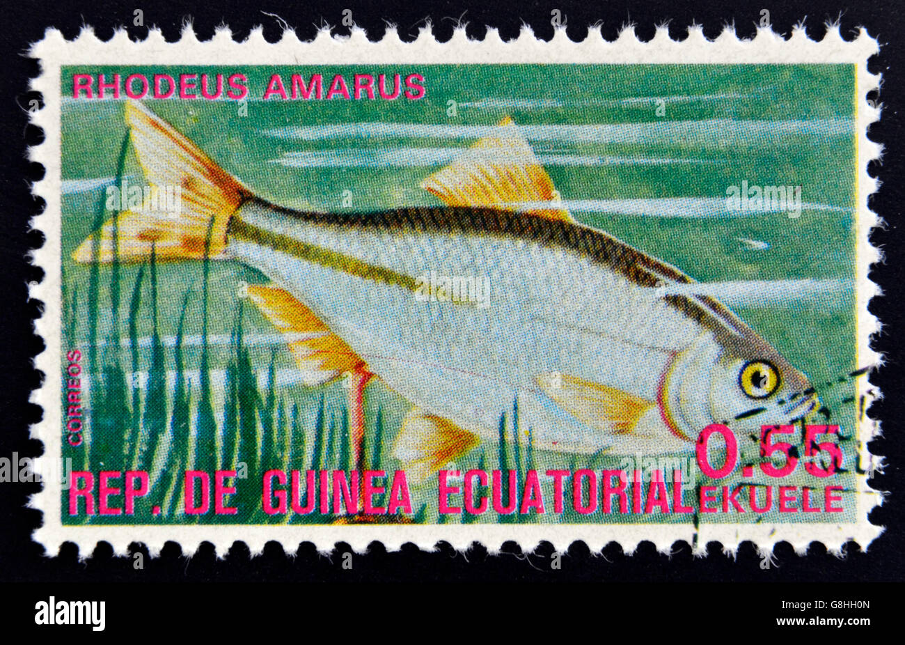 EQUATORIAL GUINEA - CIRCA 1974: A stamp printed in Guinea Ecuatorial dedicated to exotic fish shows rhodeus amarus, circa 1974. Stock Photo